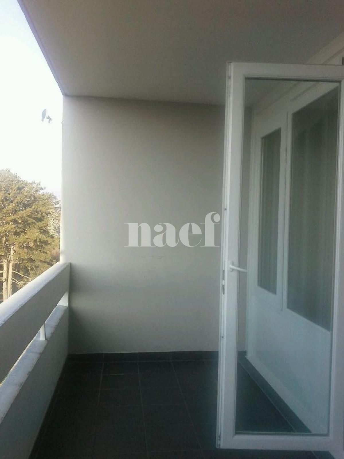 À louer : Appartement 5 Pieces Vernier - Ref : 215031.7001 | Naef Immobilier
