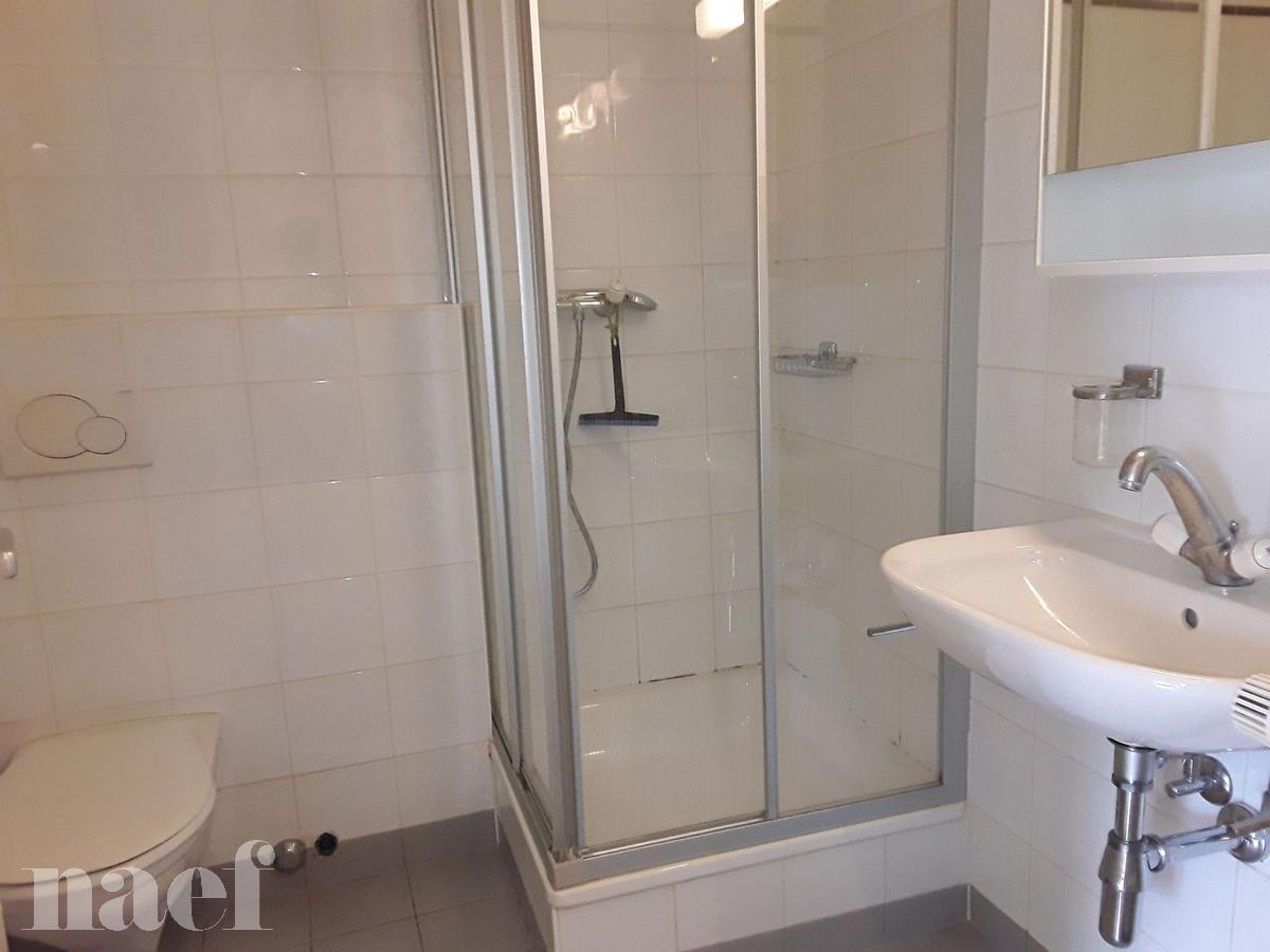 À louer : Appartement 2 Pieces Genève - Ref : 215490.4002 | Naef Immobilier