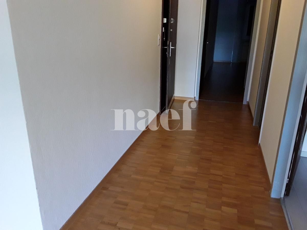 À louer : Appartement 3 Pieces Meyrin - Ref : 216526.1001 | Naef Immobilier