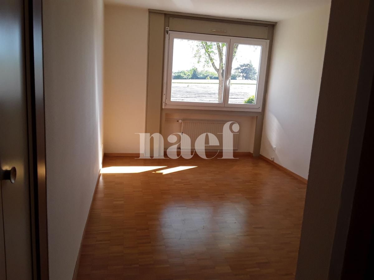 À louer : Appartement 3 Pieces Meyrin - Ref : 216526.1001 | Naef Immobilier
