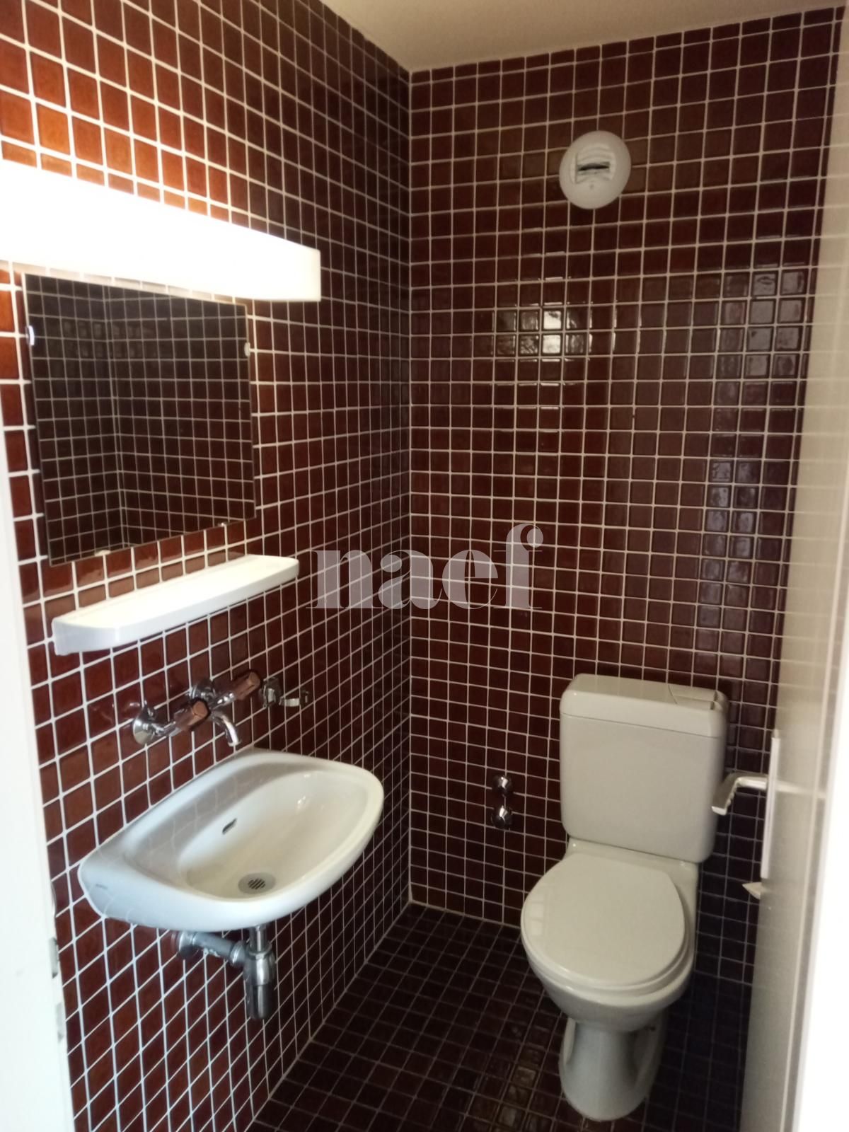 À louer : Appartement 3 Pieces Carouge Ge - Ref : 216666.6561 | Naef Immobilier