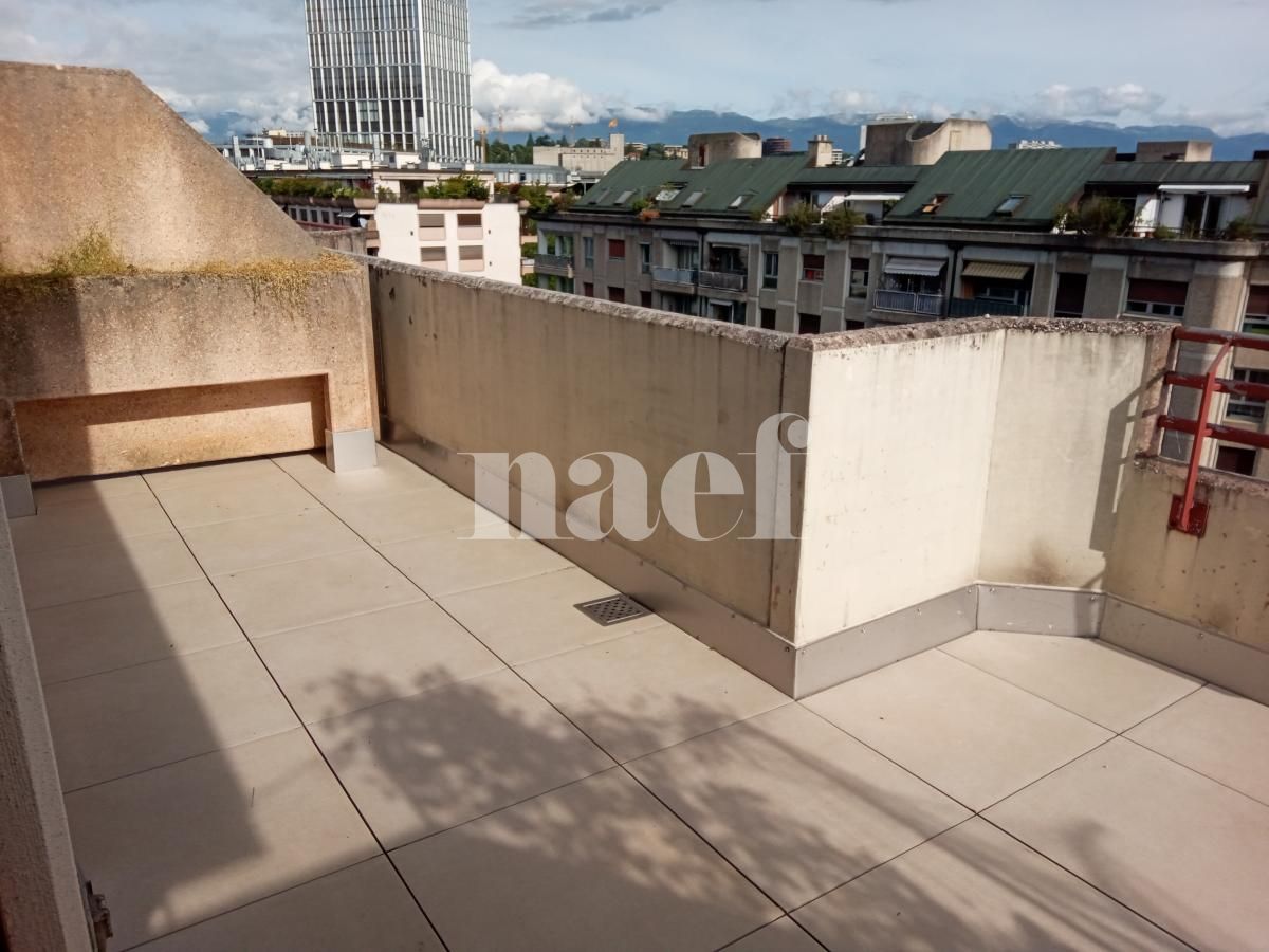 À louer : Appartement 3 Pieces Carouge Ge - Ref : 216666.6561 | Naef Immobilier