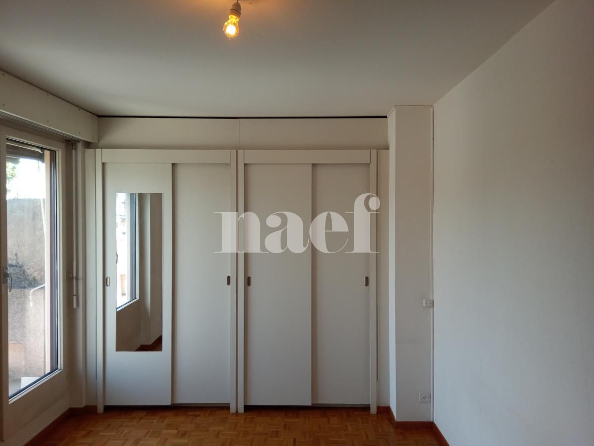 À louer : Appartement 3 Pieces Carouge Ge - Ref : 216666.6561 | Naef Immobilier