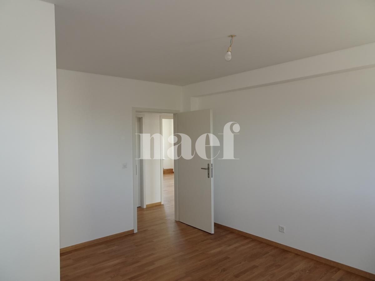 À louer : Appartement 6.5 Pieces Genève - Ref : 216915.7002 | Naef Immobilier