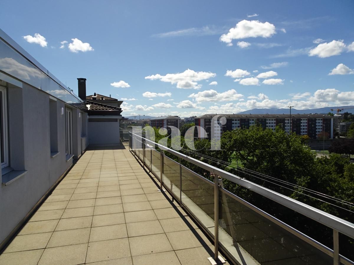 À louer : Appartement 6.5 Pieces Genève - Ref : 216915.7002 | Naef Immobilier