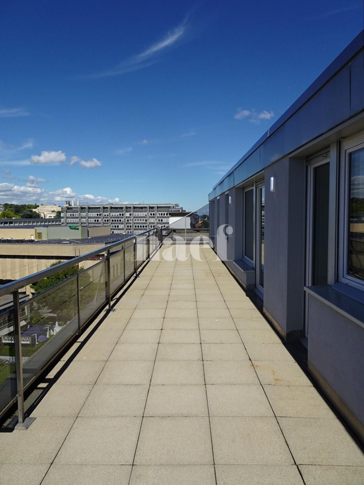 À louer : Appartement 6.5 Pieces Genève - Ref : 216915.7002 | Naef Immobilier