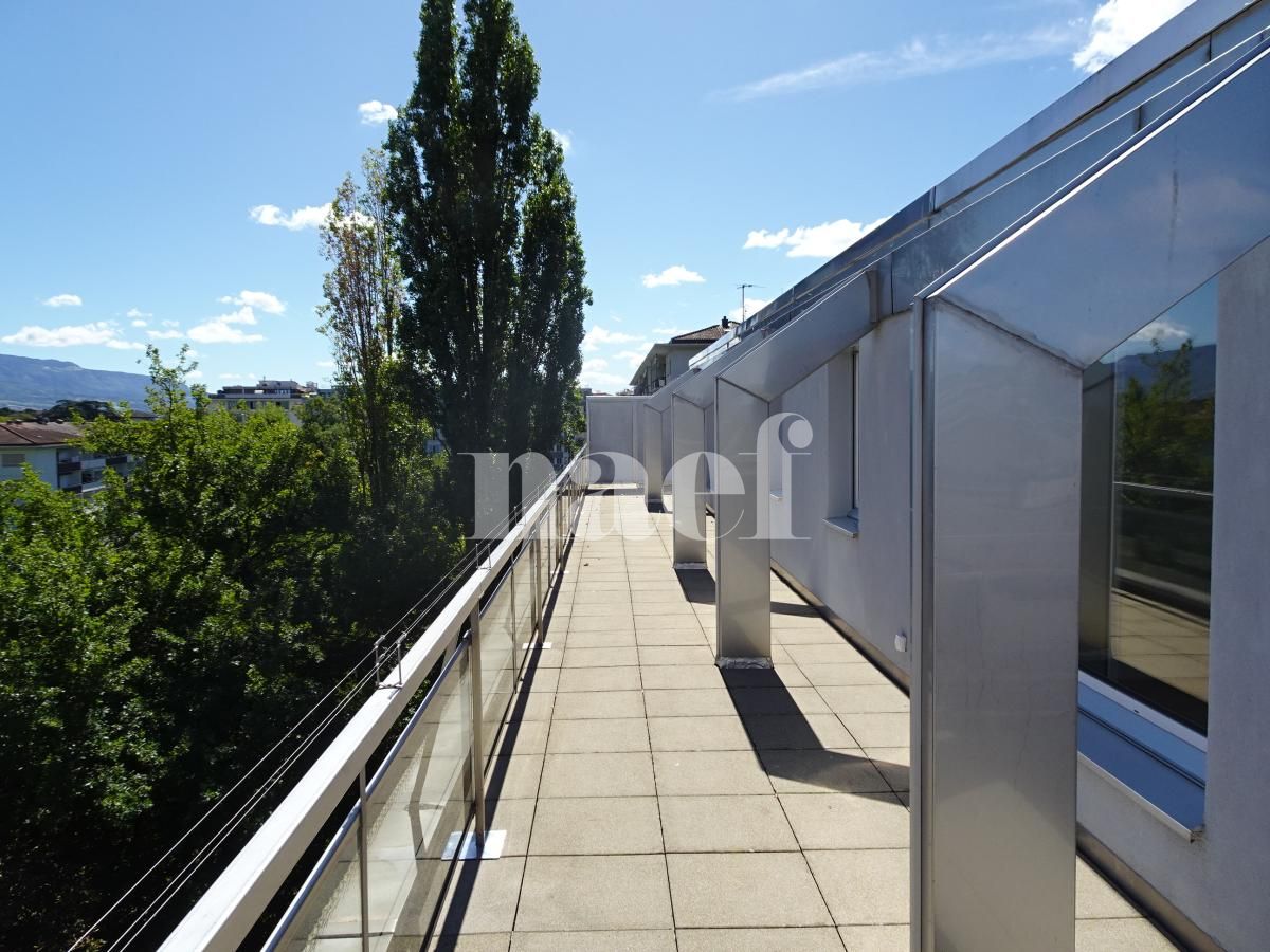 À louer : Appartement 6.5 Pieces Genève - Ref : 216915.7002 | Naef Immobilier