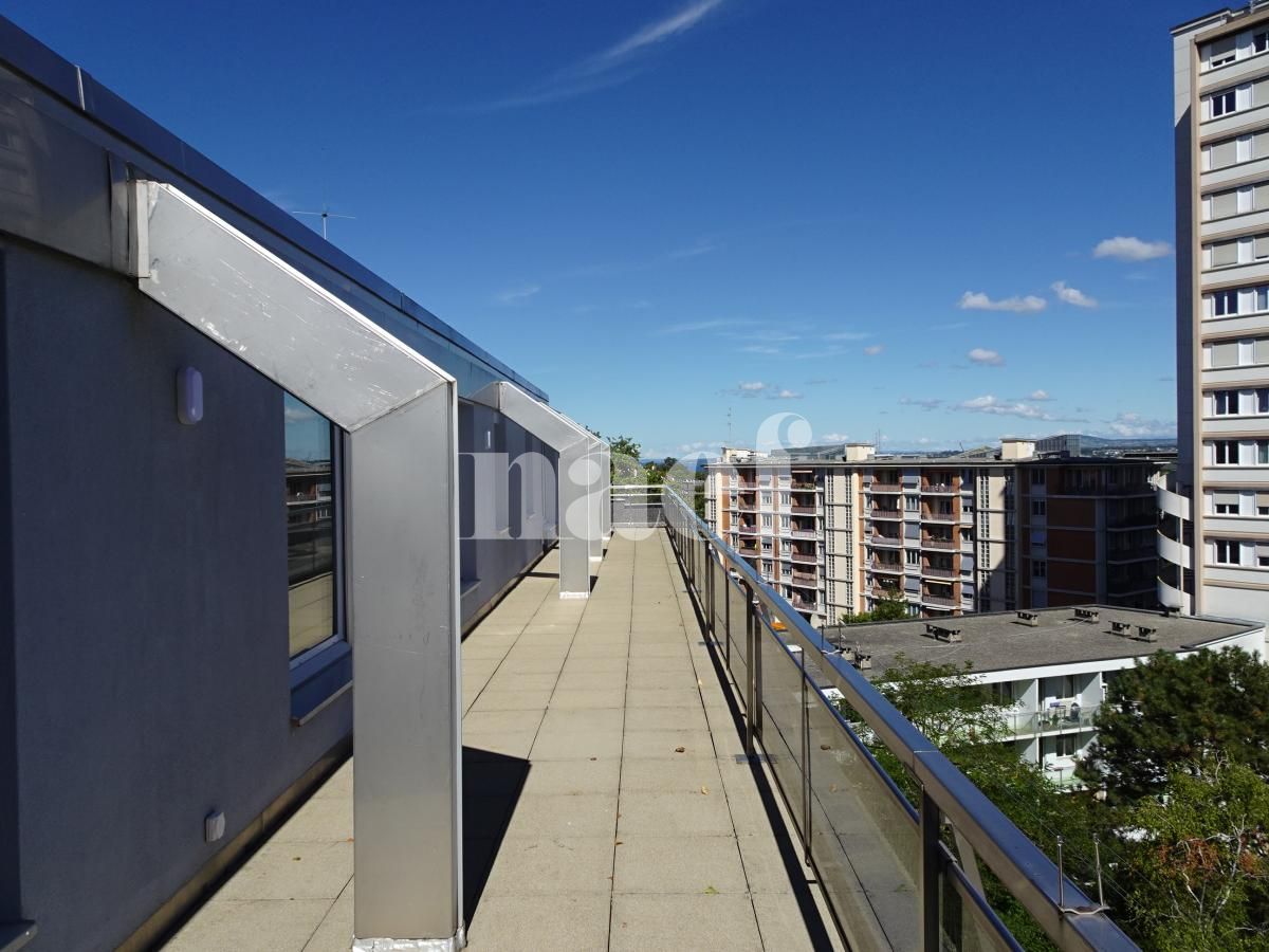 À louer : Appartement 6.5 Pieces Genève - Ref : 216915.7002 | Naef Immobilier