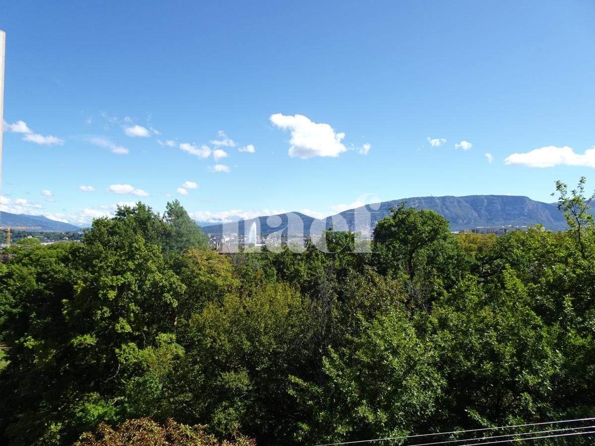 À louer : Appartement 6.5 Pieces Genève - Ref : 216915.7002 | Naef Immobilier