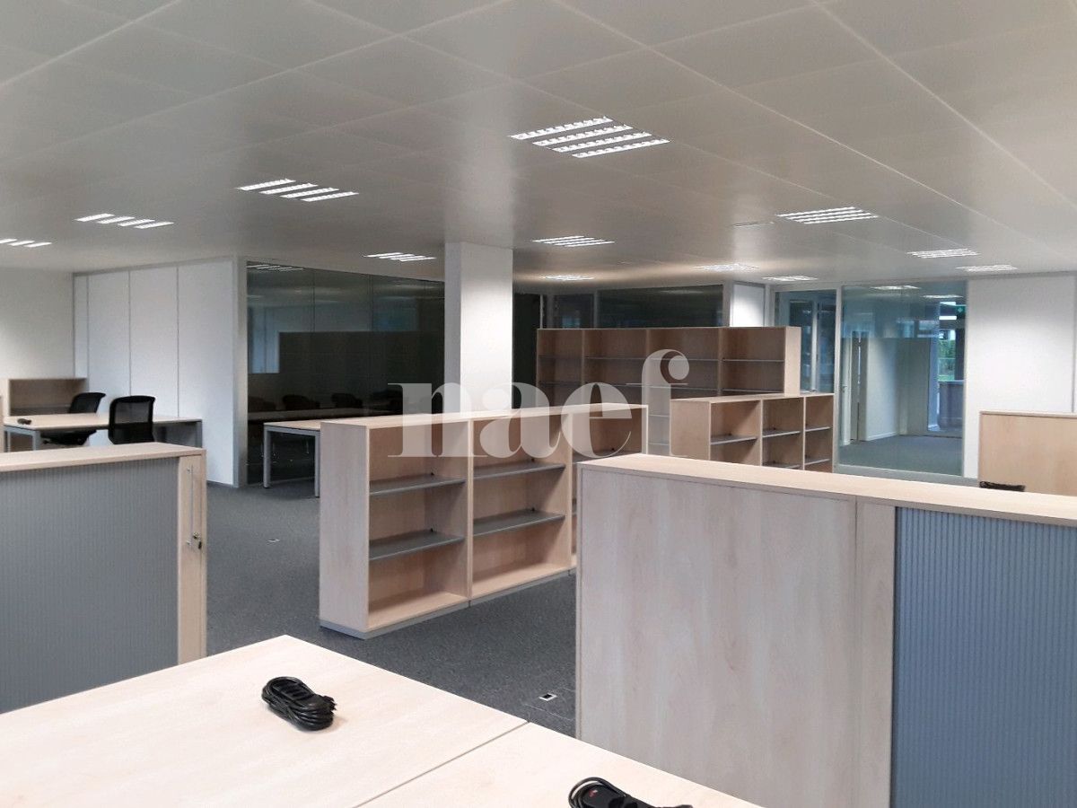 À louer : Surface Commerciale Bureau Versoix - Ref : 217204.3 | Naef Immobilier