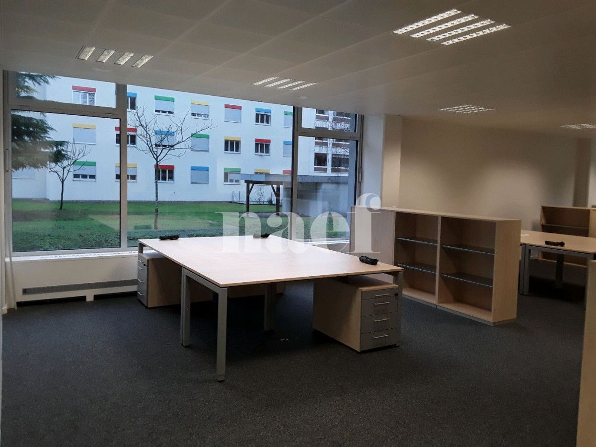 À louer : Surface Commerciale Bureau Versoix - Ref : 217204.3 | Naef Immobilier