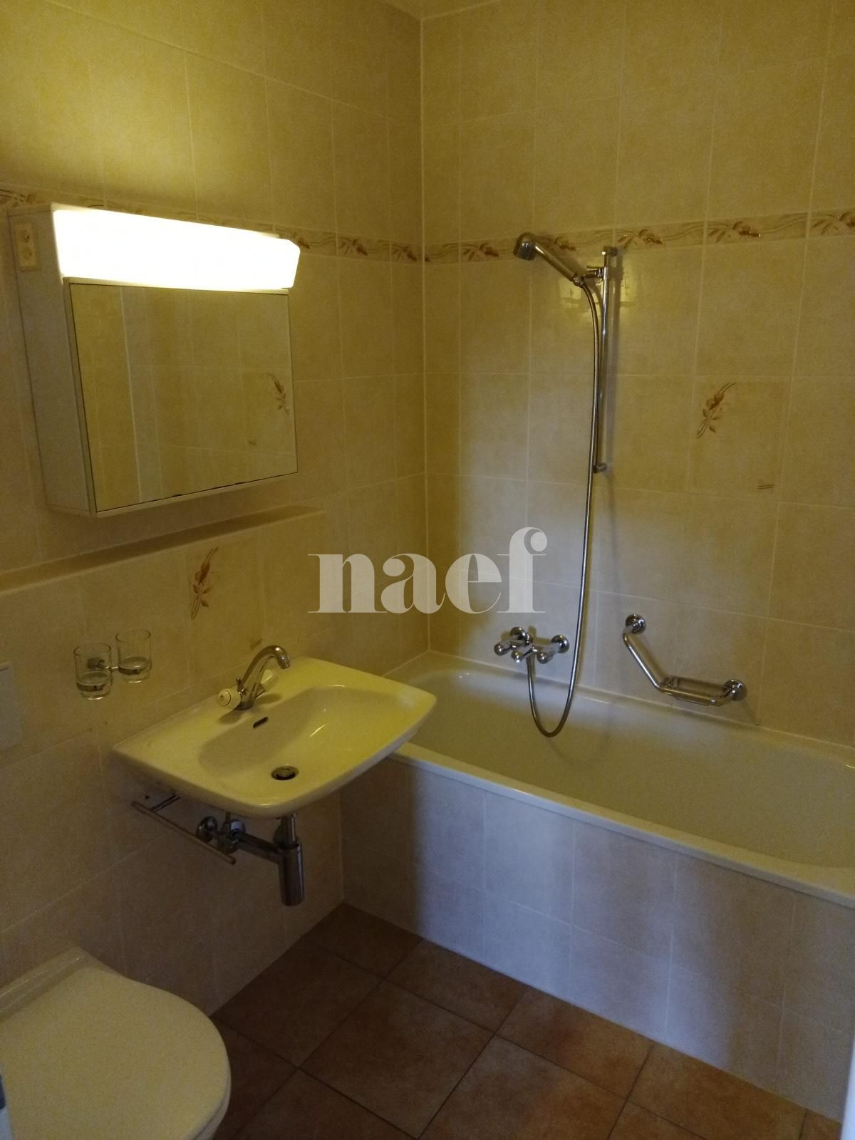 À louer : Appartement 3.5 Pieces Lausanne - Ref : 218026.3014 | Naef Immobilier