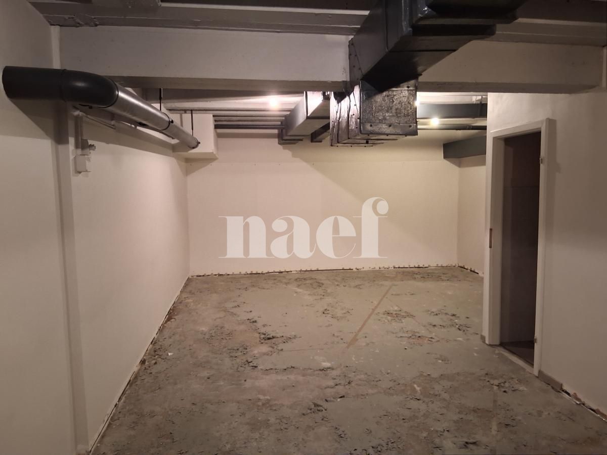 À louer : Dépôt Genève - Ref : 218044.61025 | Naef Immobilier