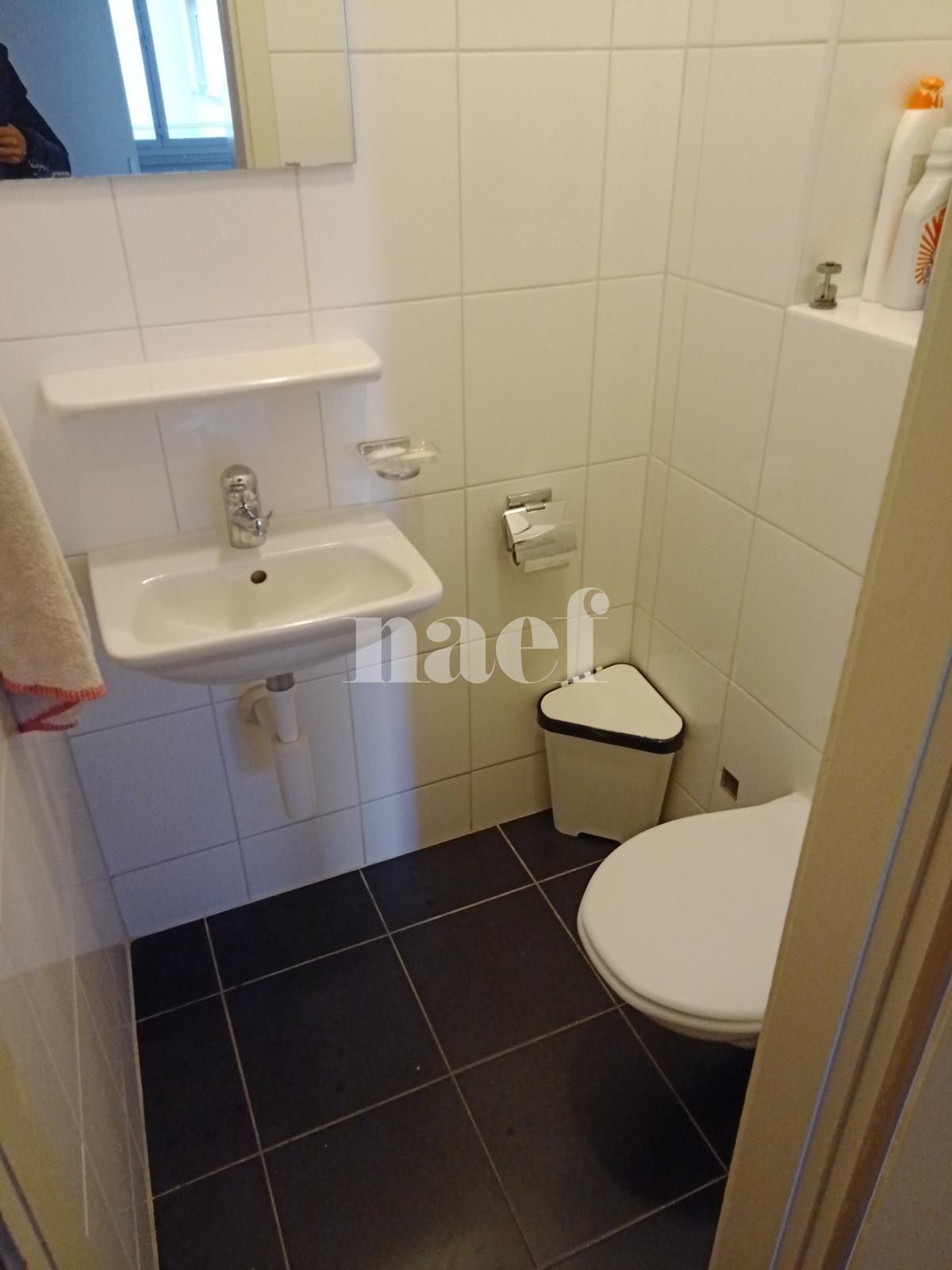 À louer : Appartement 4.5 Pieces Lausanne - Ref : 218071.1006 | Naef Immobilier