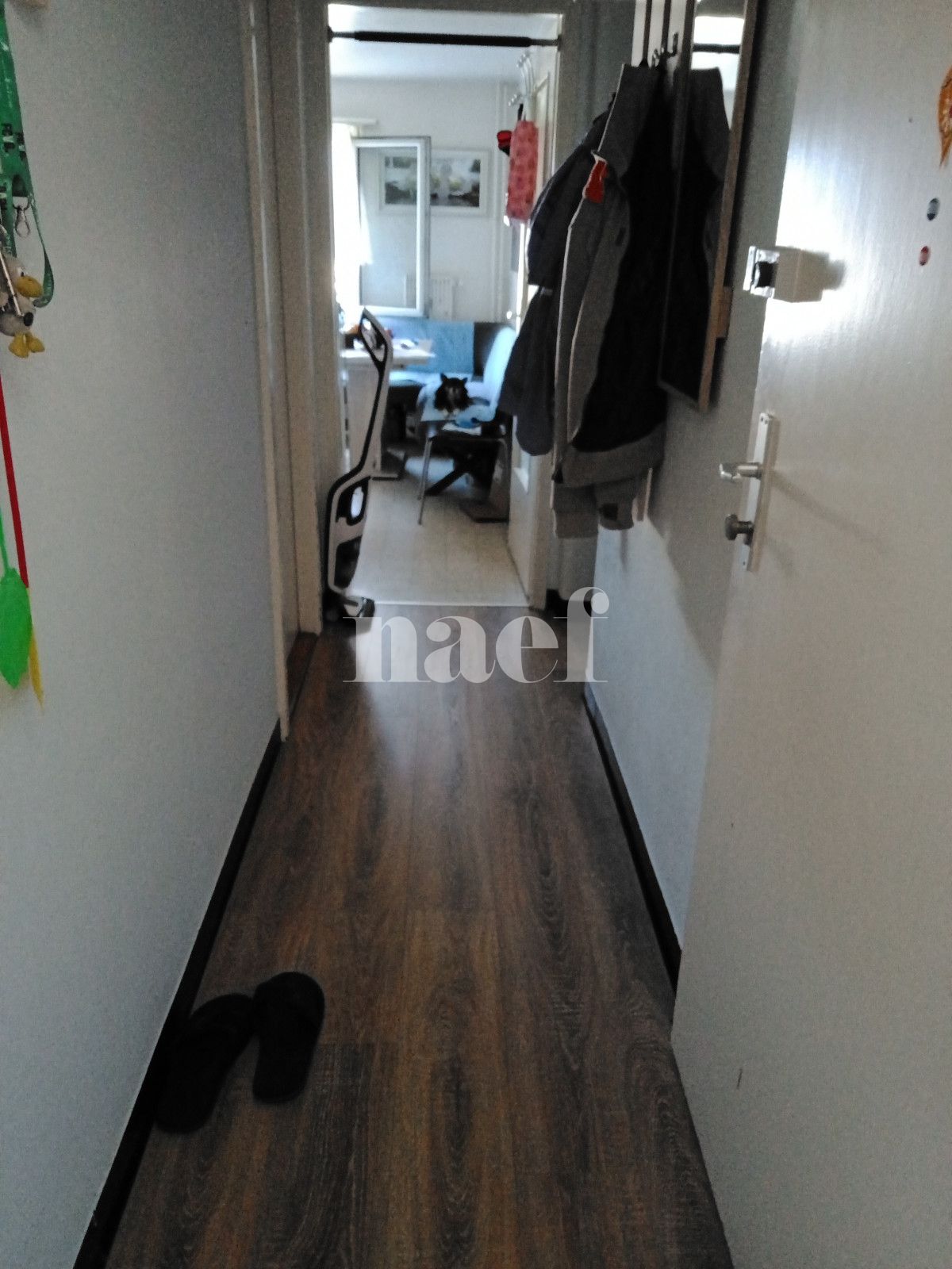À louer : Appartement 2 Pieces Morges - Ref : 218106.3016 | Naef Immobilier