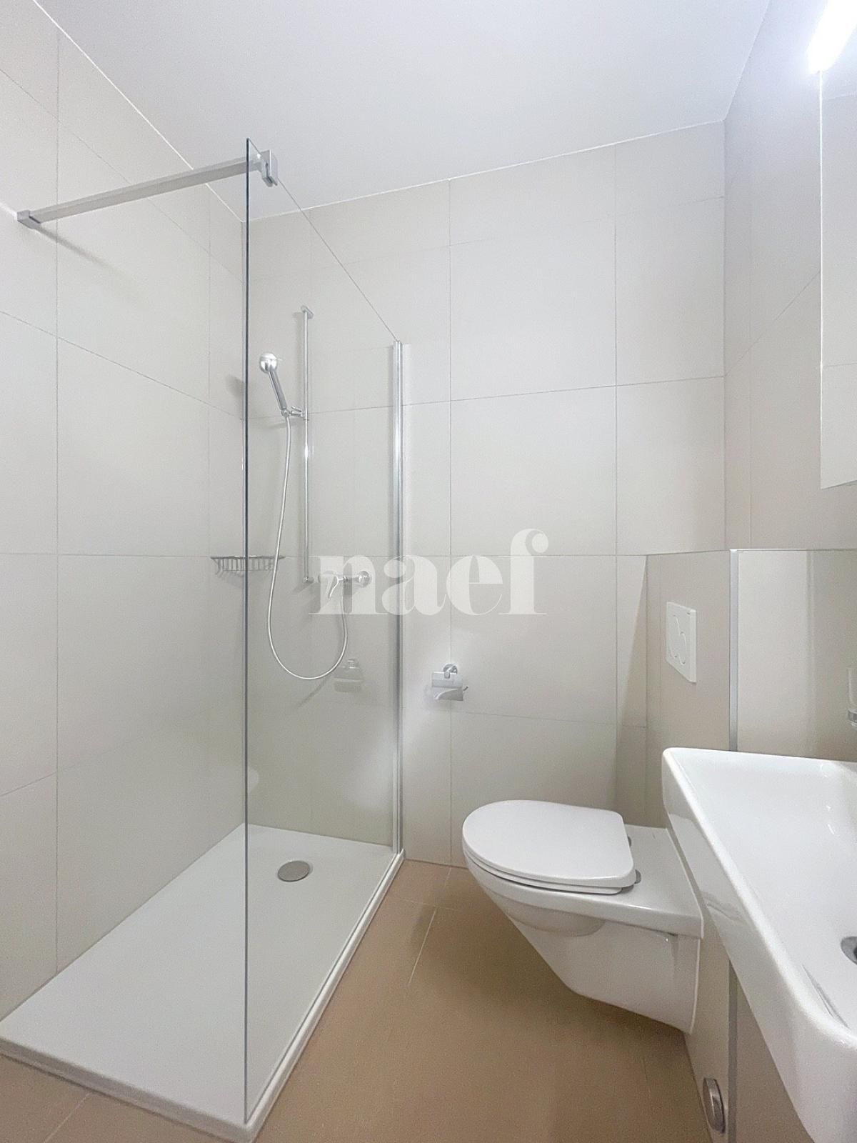 À louer : Appartement 1 Pieces Lausanne - Ref : 218204.3 | Naef Immobilier