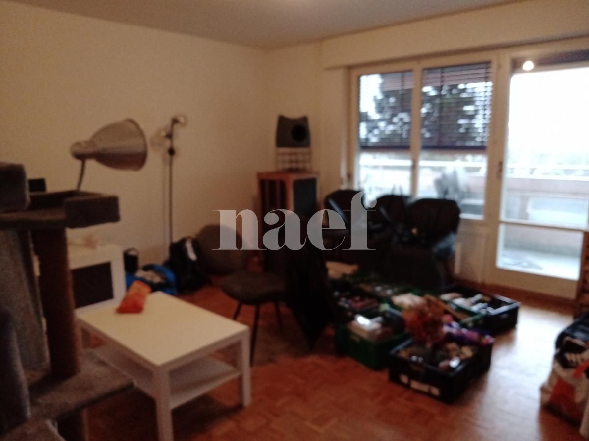 À louer : Appartement 3 Pieces Morges - Ref : 218216.3030 | Naef Immobilier