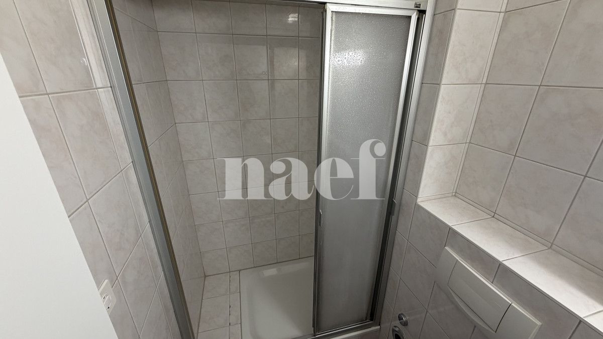 À louer : Appartement 1 Pieces Neuchâtel - Ref : 218303.3003 | Naef Immobilier