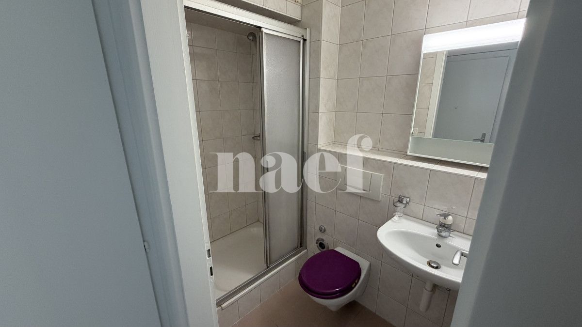 À louer : Appartement 1 Pieces Neuchâtel - Ref : 218303.3003 | Naef Immobilier