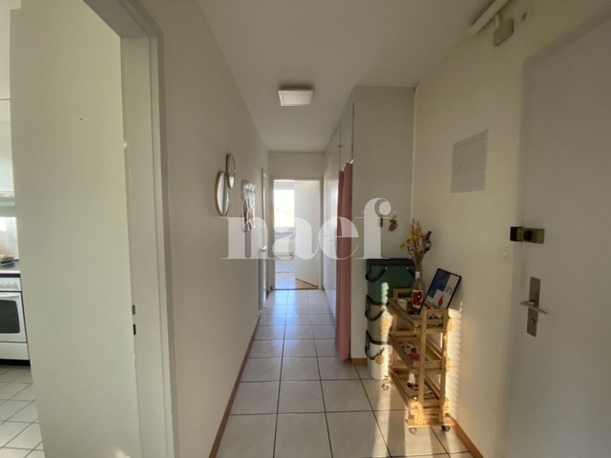 À louer : Appartement 2 Pieces Neuchâtel - Ref : 218304.12002 | Naef Immobilier