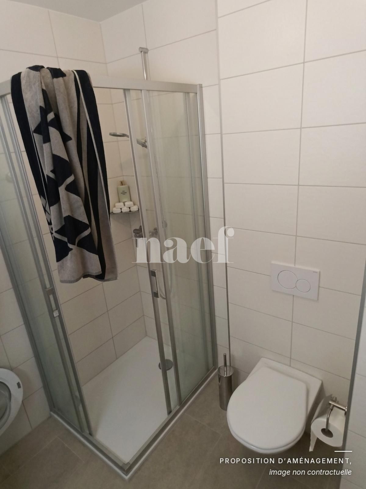 À louer : Appartement 1 Pieces Marin-Epagnier - Ref : 218737.2004 | Naef Immobilier