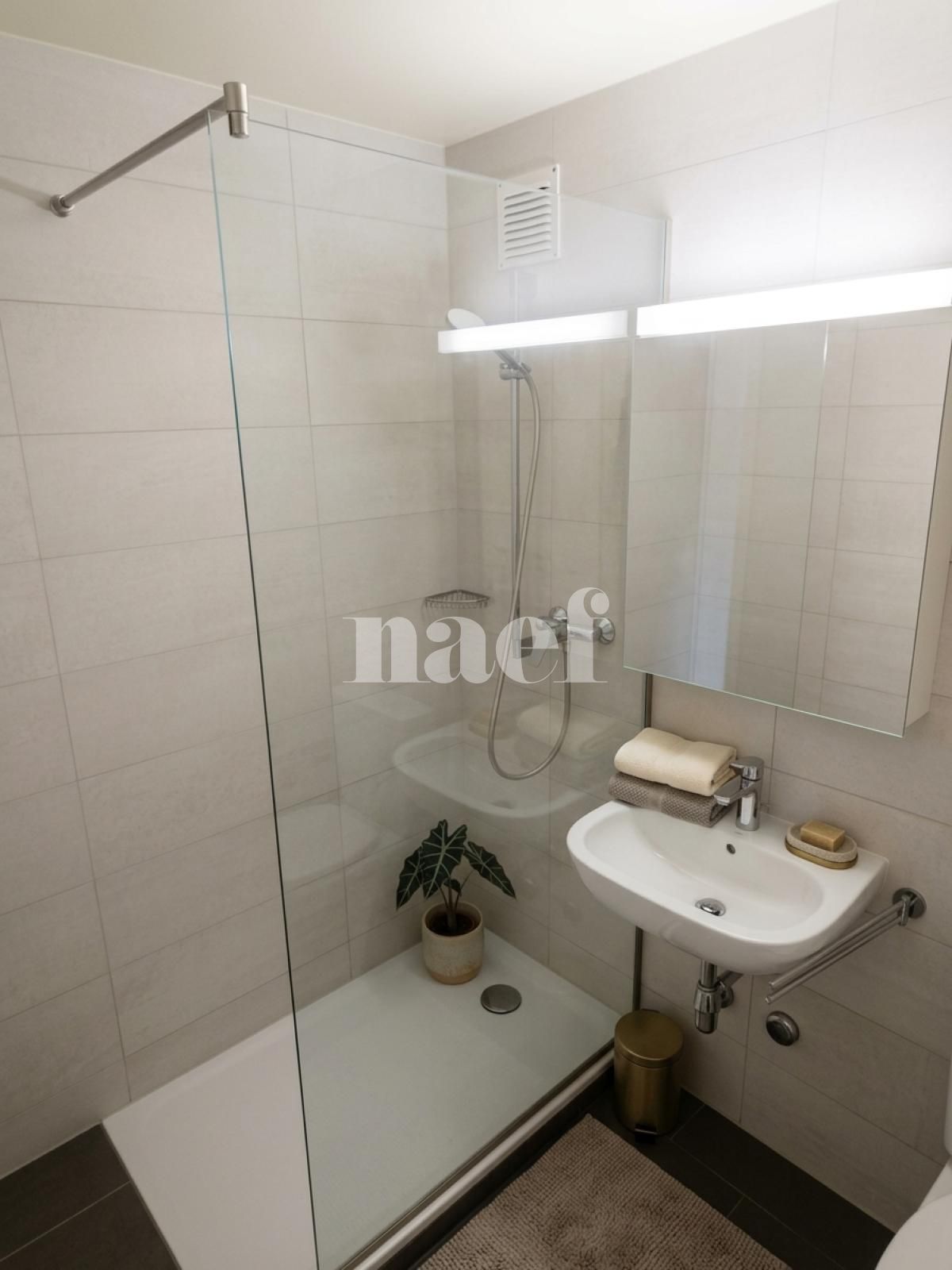 À louer : Appartement 2 Pieces La Chaux-de-Fonds - Ref : 219034.8003 | Naef Immobilier