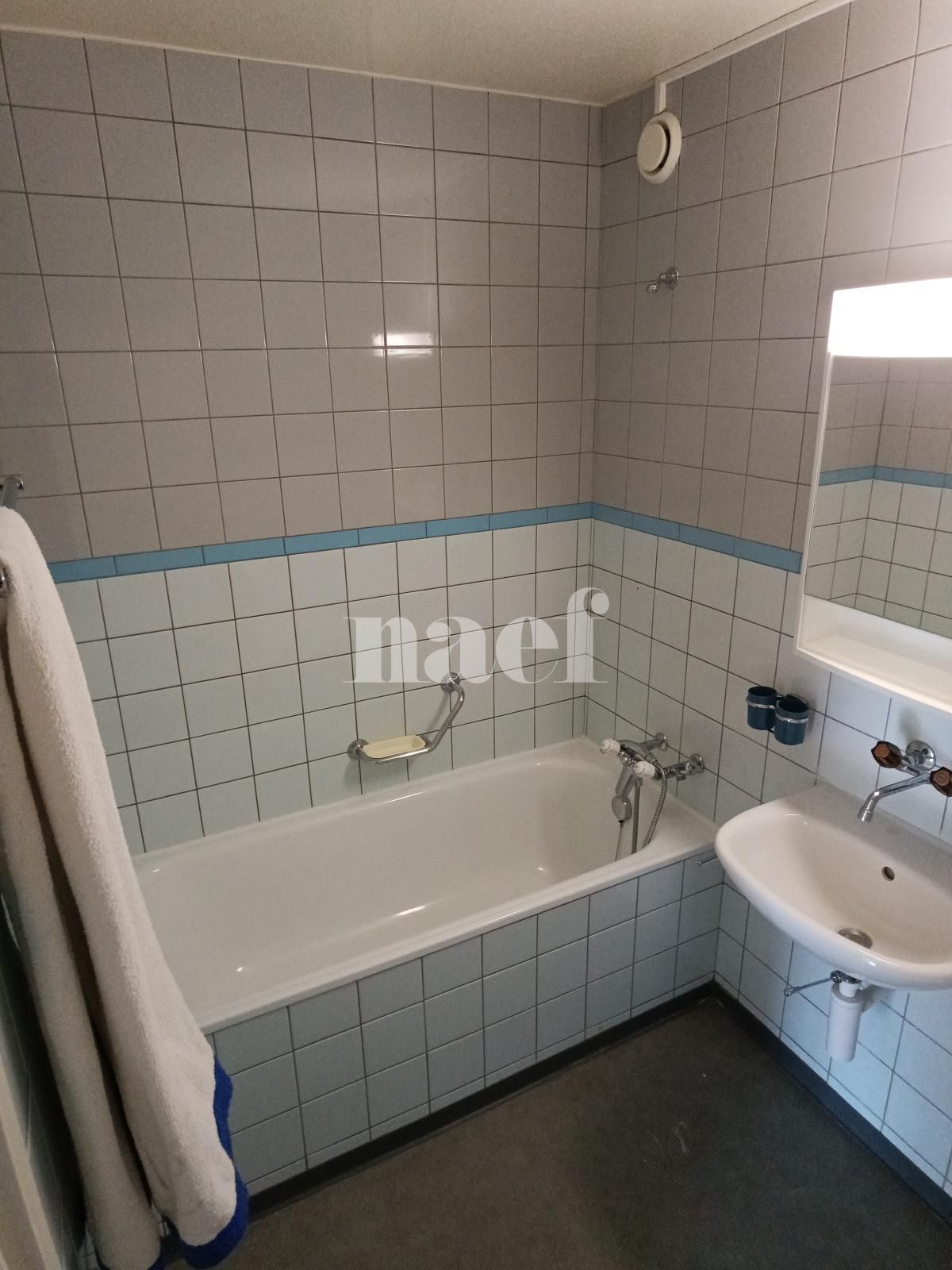 À louer : Appartement 2.5 Pieces La Chaux-de-Fonds - Ref : 219035.11003 | Naef Immobilier