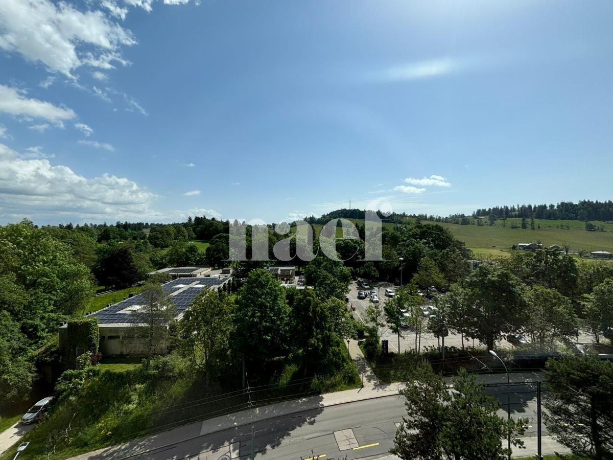 À louer : Appartement 2.5 Pieces La Chaux-de-Fonds - Ref : 219035.11003 | Naef Immobilier