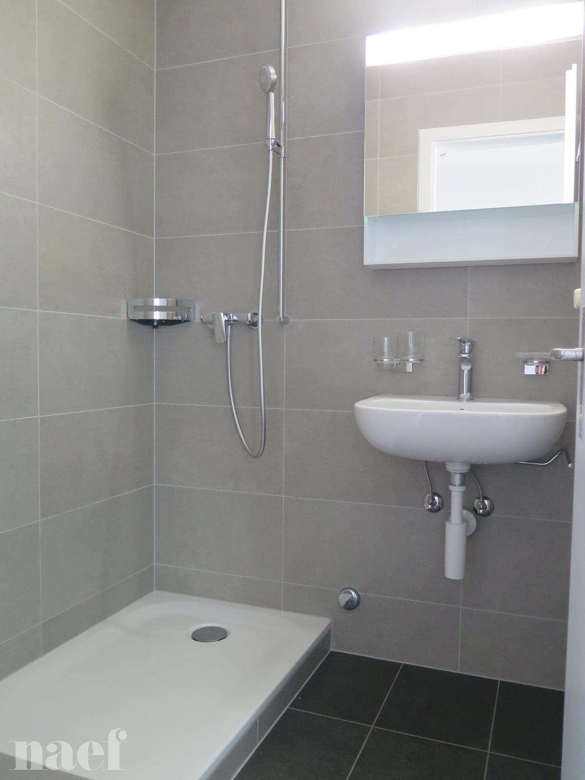 À louer : Appartement 4 Pieces Le Locle - Ref : 219037.7001 | Naef Immobilier