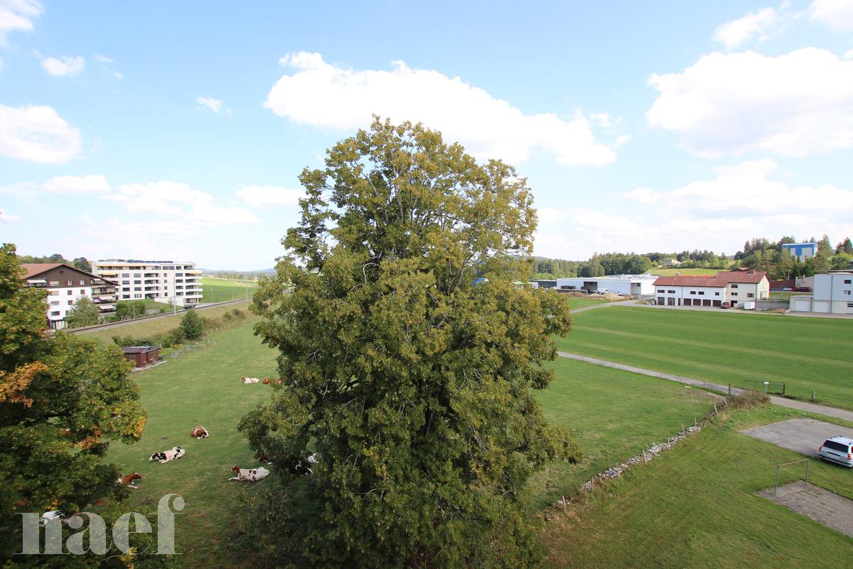 À louer : Appartement 4 Pieces Saignelégier - Ref : 219041.4003 | Naef Immobilier