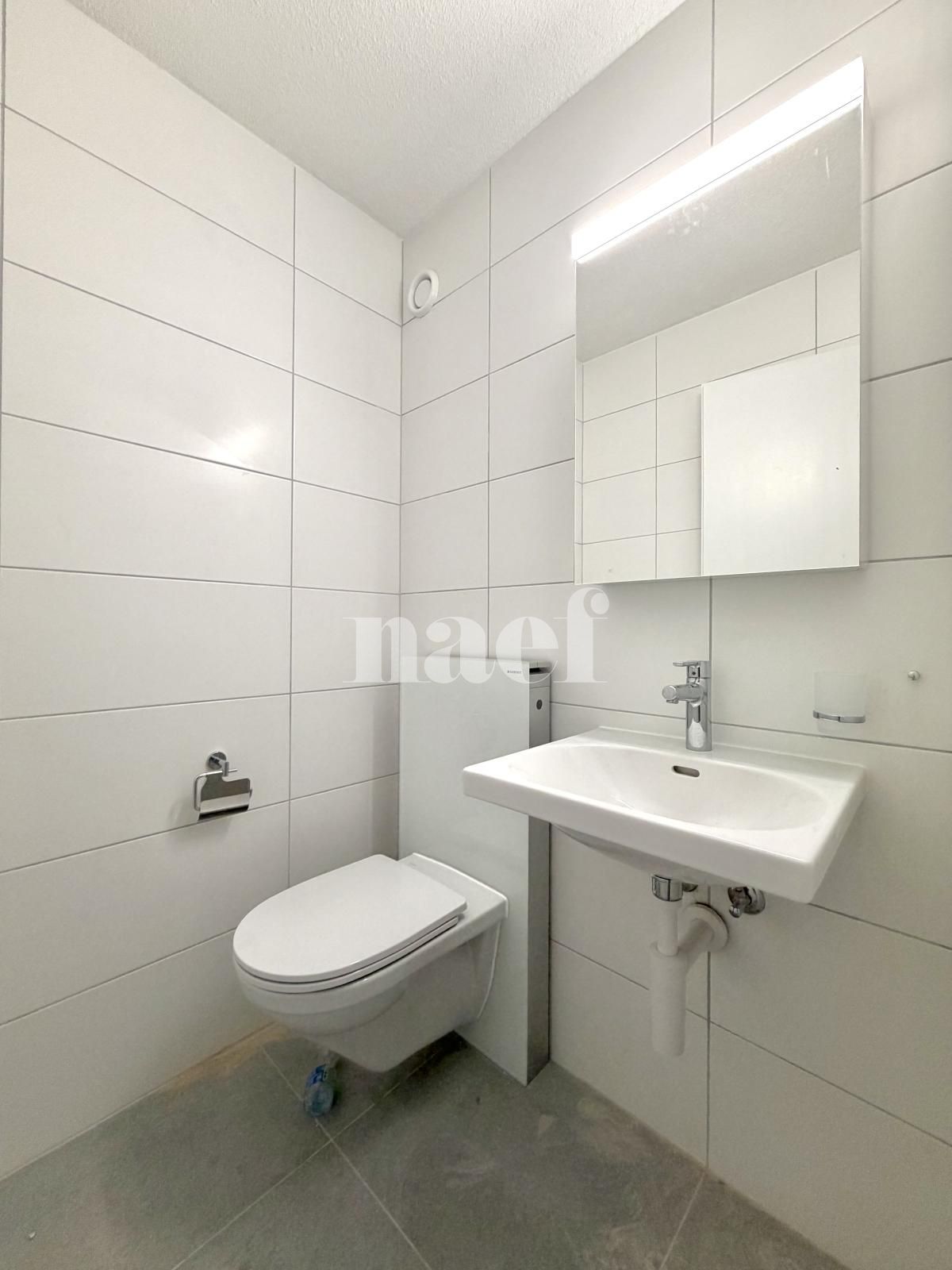 À louer : Appartement 4.5 Pieces Bevaix - Ref : 219043.1001 | Naef Immobilier