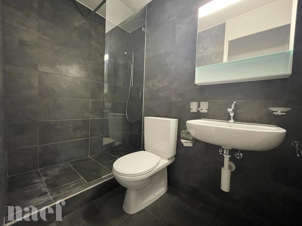 À louer : Appartement 2 Pieces Bevaix - Ref : 219045.2002 | Naef Immobilier