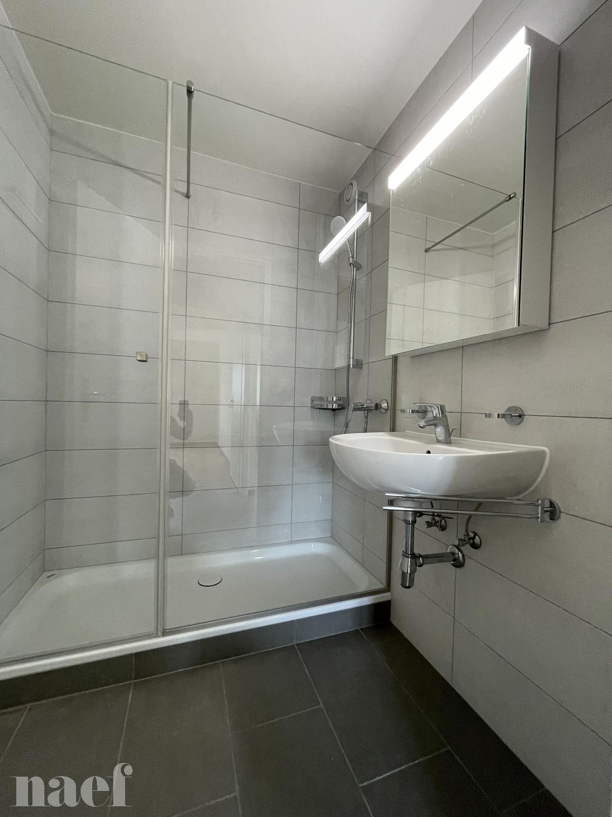 À louer : Appartement 3 Pieces La Chaux-de-Fonds - Ref : 219099.3002 | Naef Immobilier
