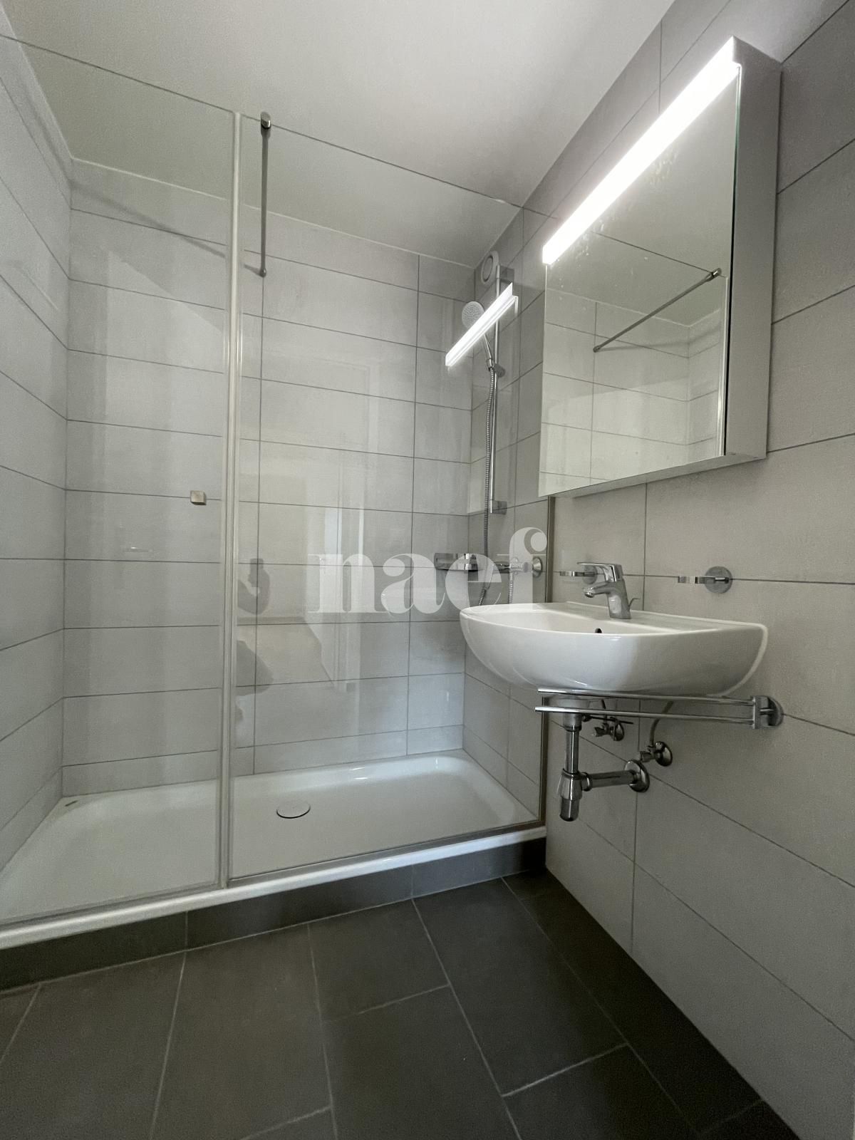 À louer : Appartement 3.5 Pieces La Chaux-de-Fonds - Ref : 219099.5003 | Naef Immobilier