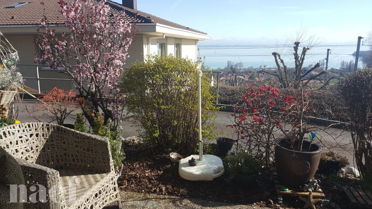 À louer : Appartement 2 Pieces Auvernier - Ref : 219117.2 | Naef Immobilier