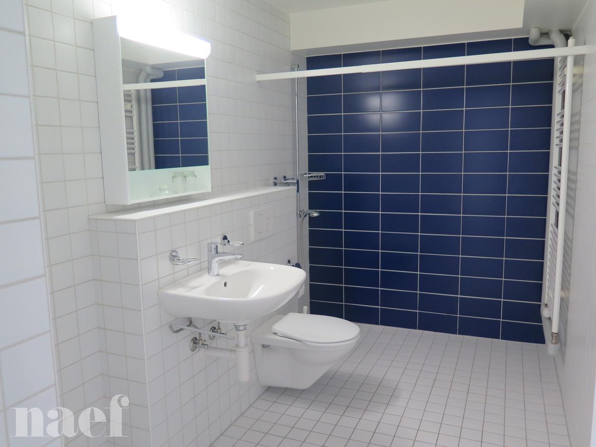 À louer : Appartement 2.5 Pieces Neuchâtel - Ref : 219253.3 | Naef Immobilier