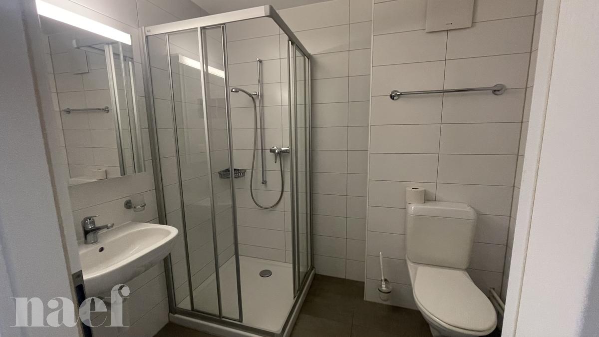À louer : Appartement 3 Pieces La Chaux-de-Fonds - Ref : 219254.1001 | Naef Immobilier