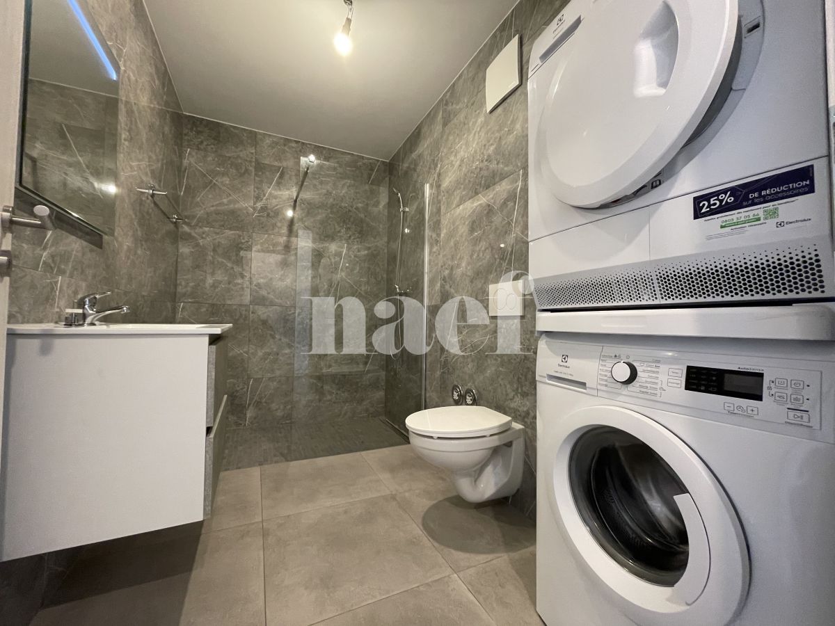 À louer : Appartement 3.5 Pieces Pont-en-Ogoz - Ref : 219283.1105 | Naef Immobilier