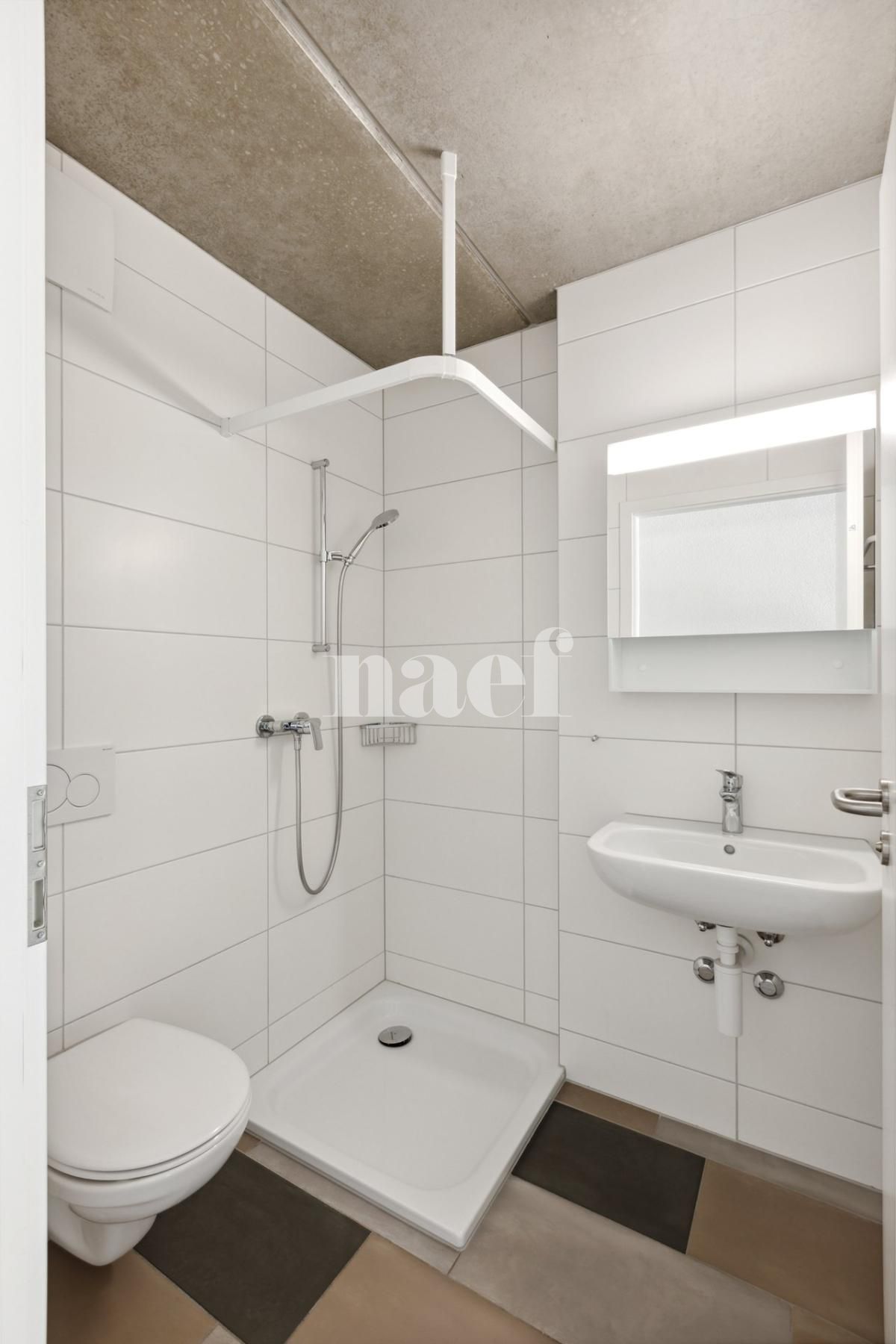 À louer : Appartement 1 Pieces Neuchâtel - Ref : 219297.2014 | Naef Immobilier
