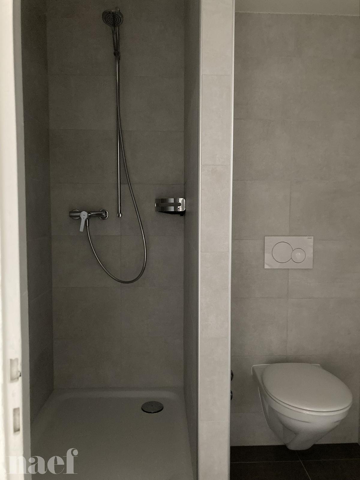 À louer : Appartement 1 Pieces Neuchâtel - Ref : 219534.1011 | Naef Immobilier