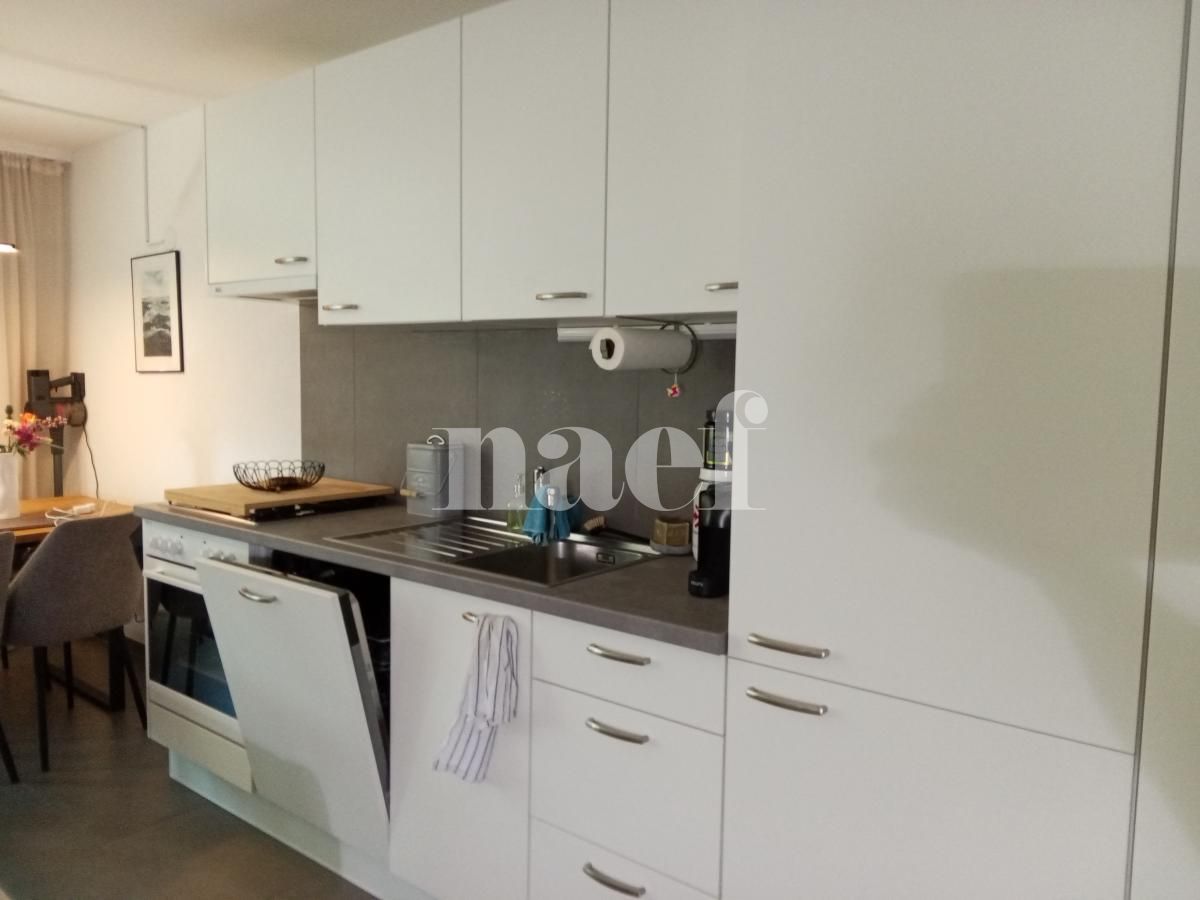 À louer : Appartement 2 Pieces Neuchâtel - Ref : 219587.2002 | Naef Immobilier