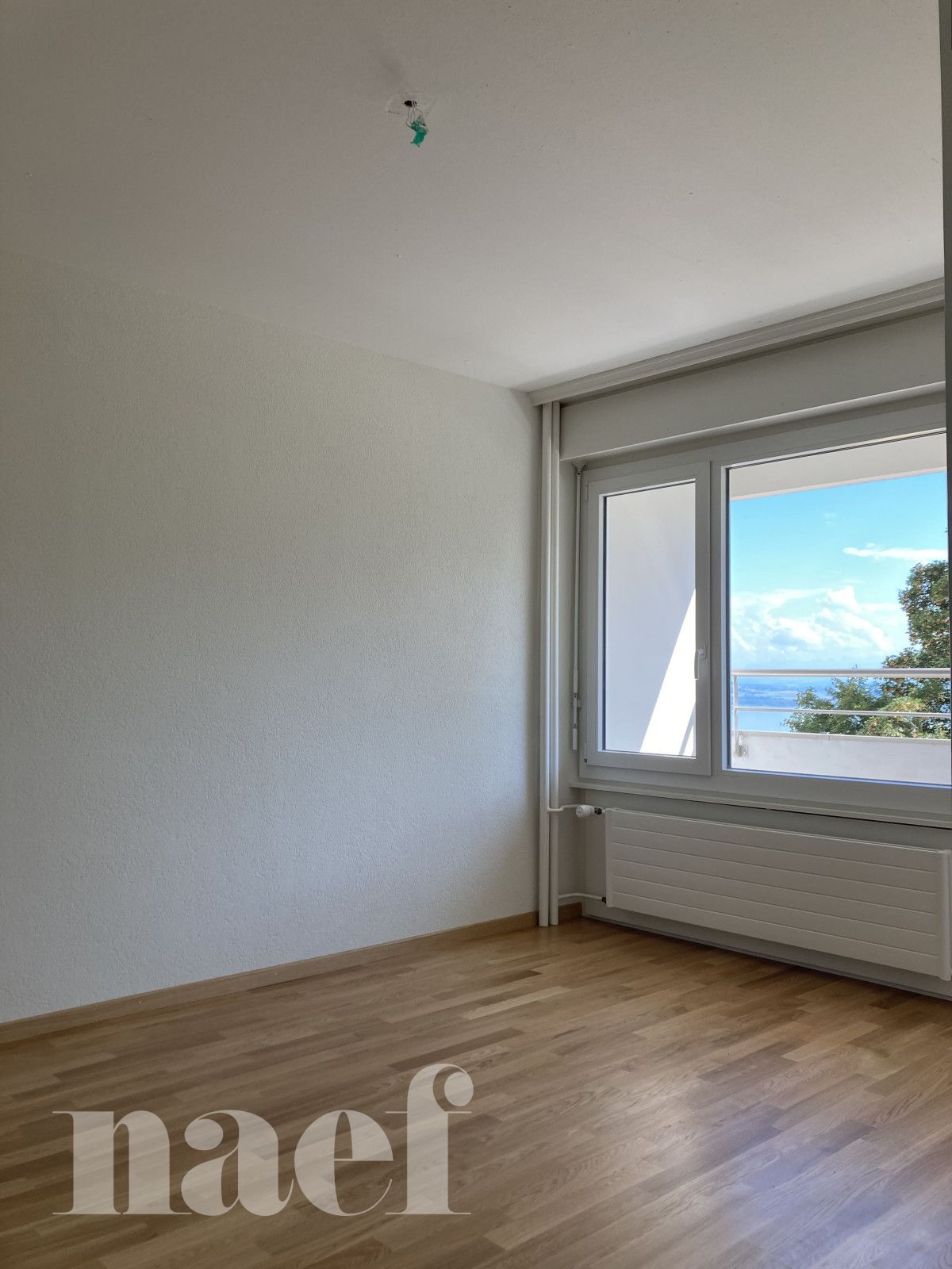 À louer : Appartement 2 Pieces Neuchâtel - Ref : 219589.1002 | Naef Immobilier