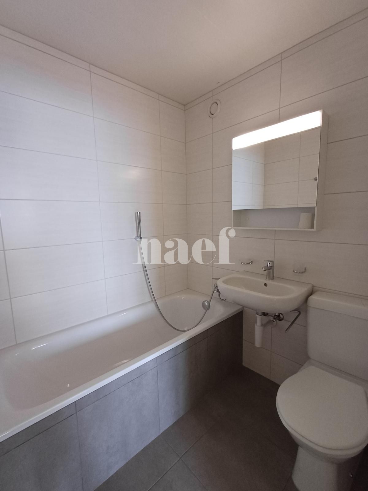 À louer : Appartement 2 Pieces Neuchâtel - Ref : 219589.7002 | Naef Immobilier