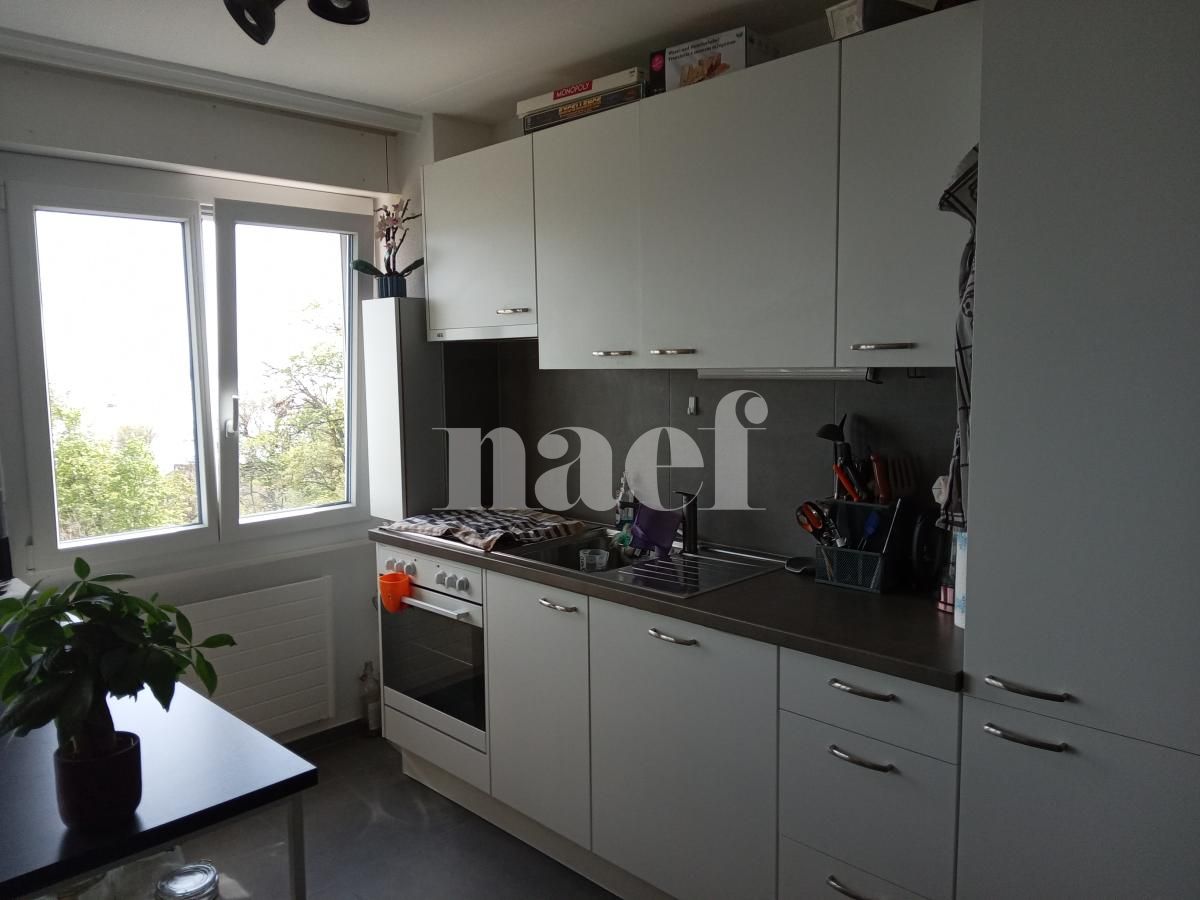 À louer : Appartement 2 Pieces Neuchâtel - Ref : 219590.6002 | Naef Immobilier