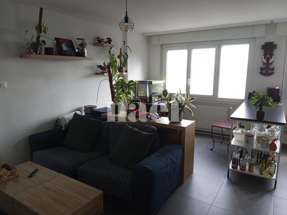 À louer : Appartement 2 Pieces Neuchâtel - Ref : 219590.6002 | Naef Immobilier