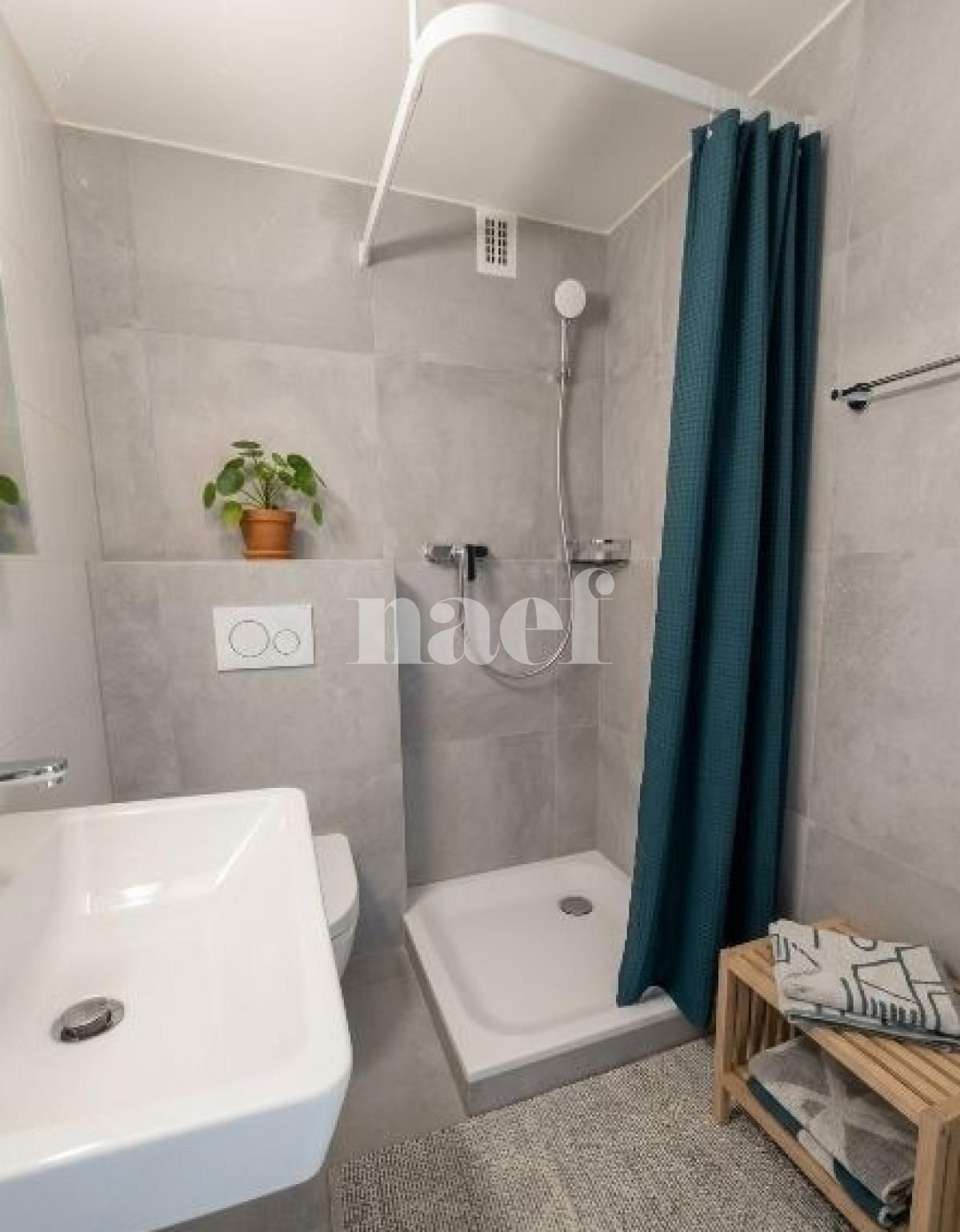 À louer : Appartement 1 Pieces Peseux - Ref : 219596.3001 | Naef Immobilier