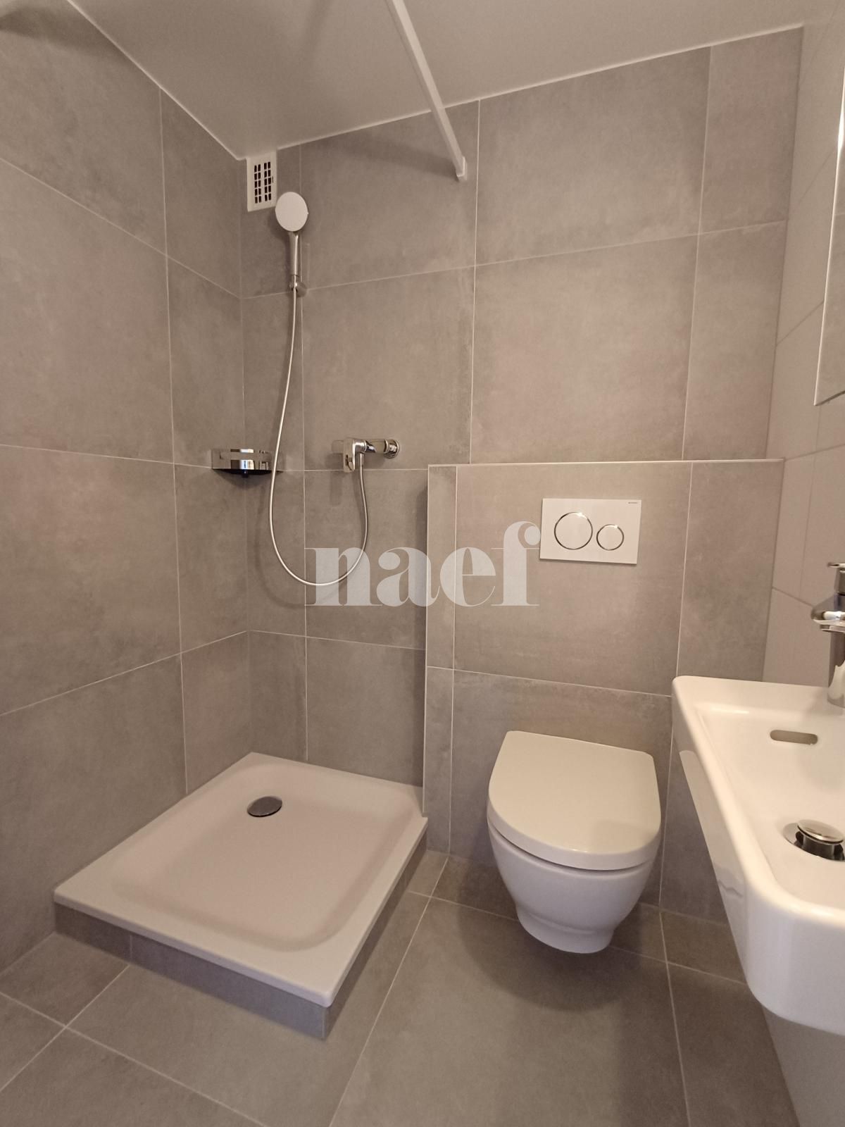 À louer : Appartement 1 Pieces Peseux - Ref : 219596.3006 | Naef Immobilier