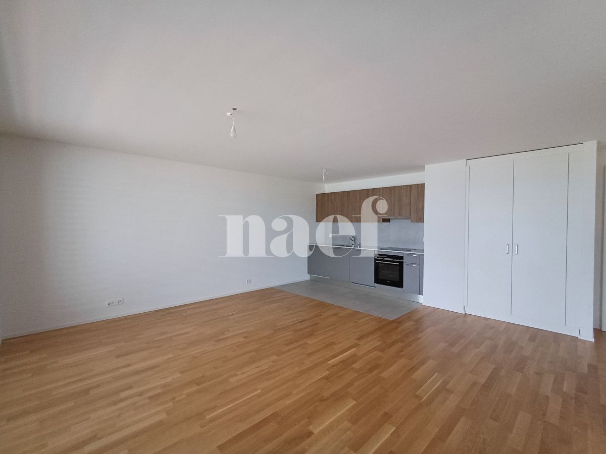 À louer : Appartement 2 Pieces Neuchâtel - Ref : 219700.3003 | Naef Immobilier