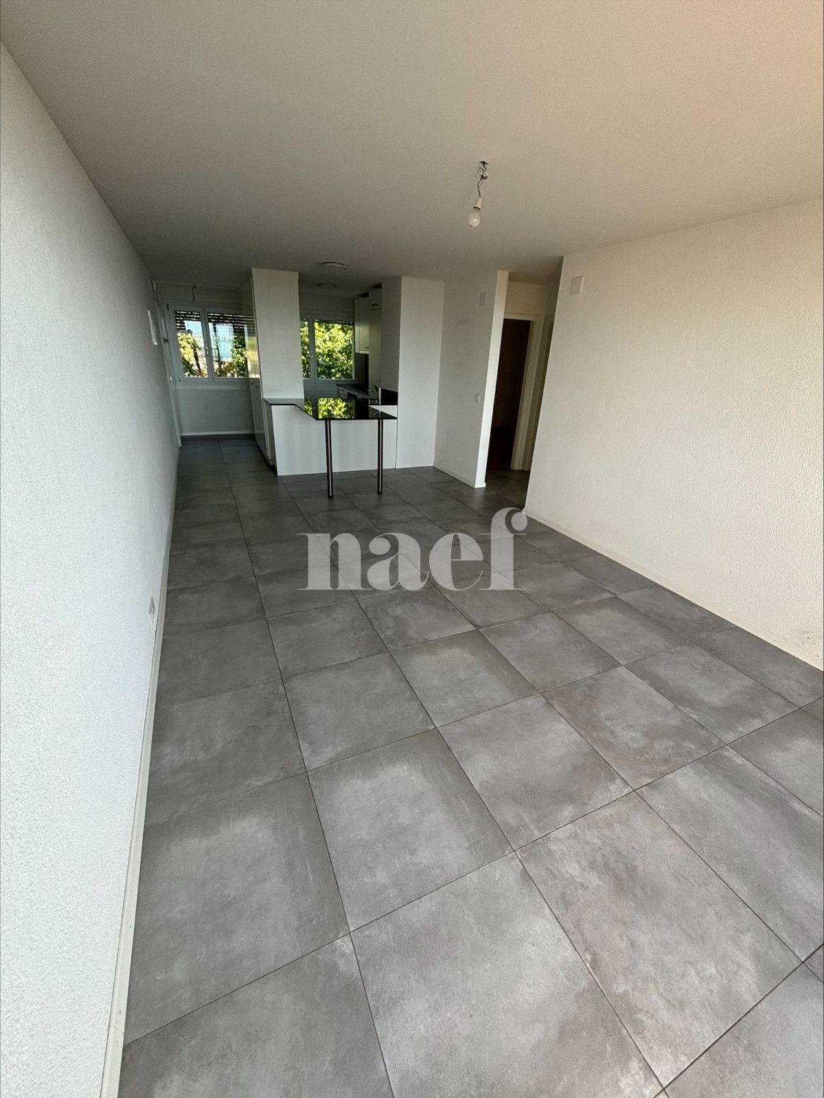 À louer : Appartement 3 Pieces Neuchâtel - Ref : 219711.4001 | Naef Immobilier