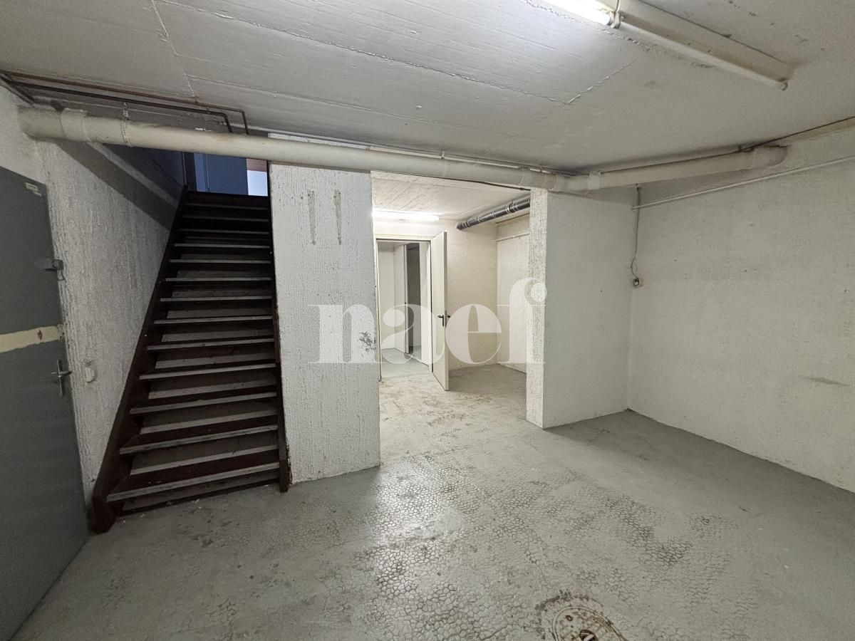 À louer : Surface Commerciale Arcade Grand-Lancy - Ref : 219727.1 | Naef Immobilier